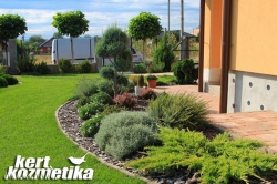 1 éves kert Ecseren (59)